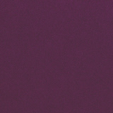Concord Purple AT23